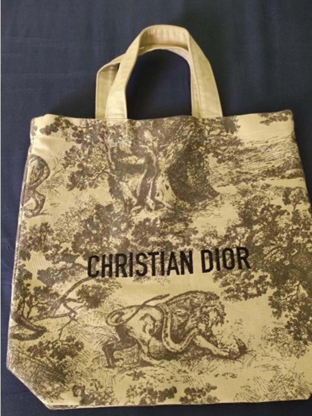 Dior Grey Canvas Toile Tote Bag